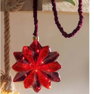 All-Weather Holiday Hanging Glass Star Light